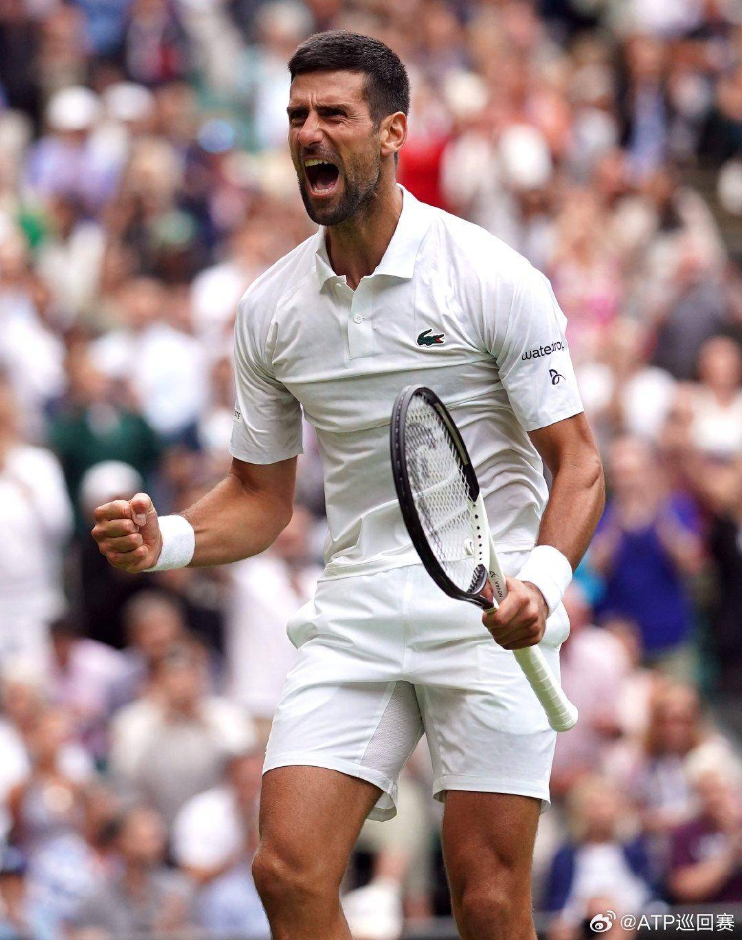 替换的概率 替换的概率