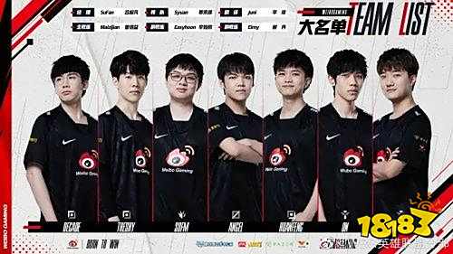 智能导盲系 智能导盲系