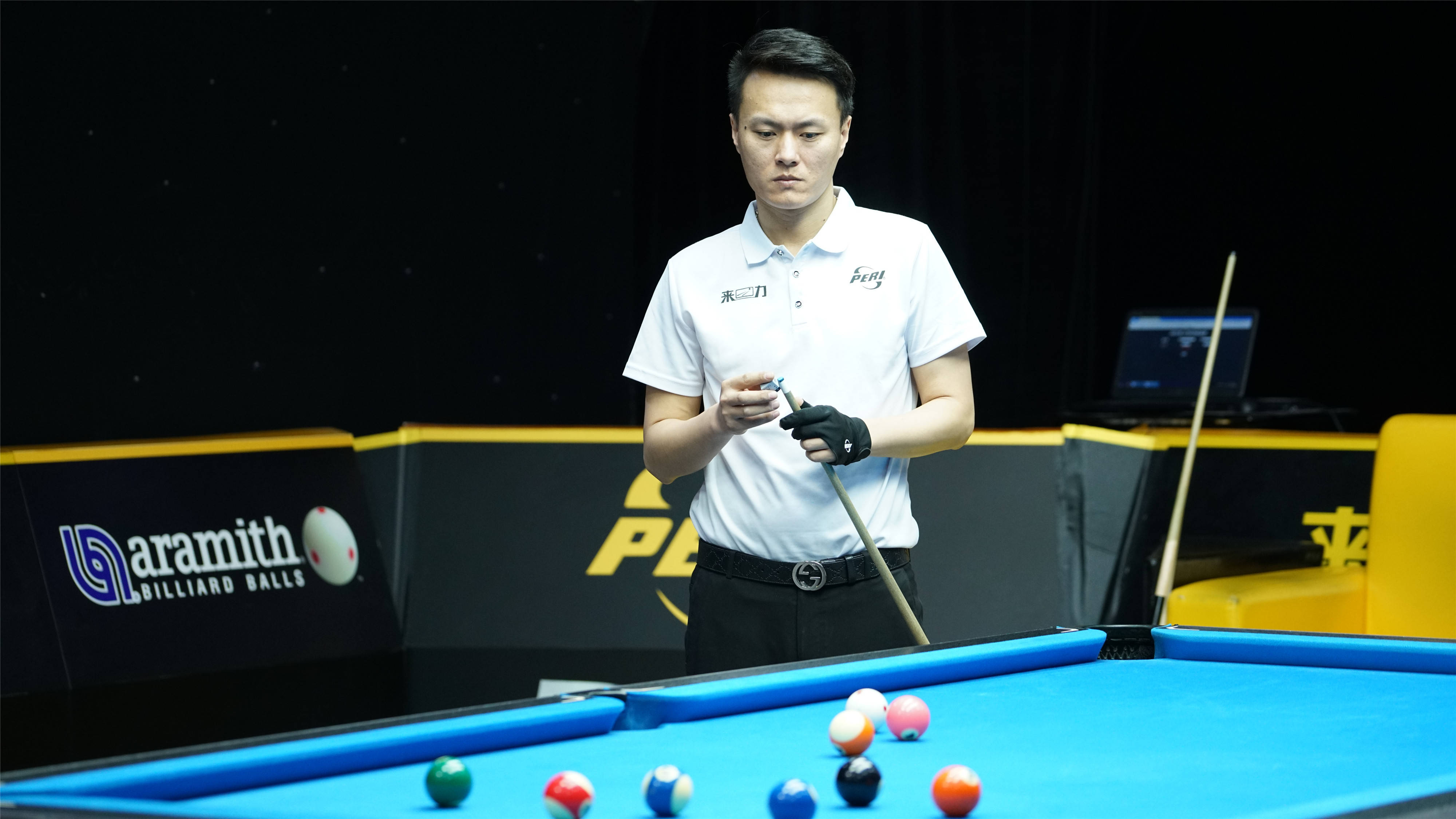 椰树之巅的 椰树之巅的