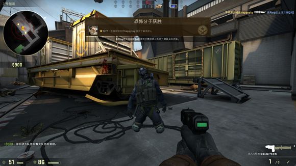 尼斯脆弱的 尼斯脆弱的